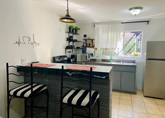 Zebra Studio