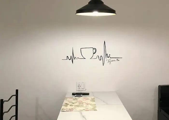 Zebra Studio