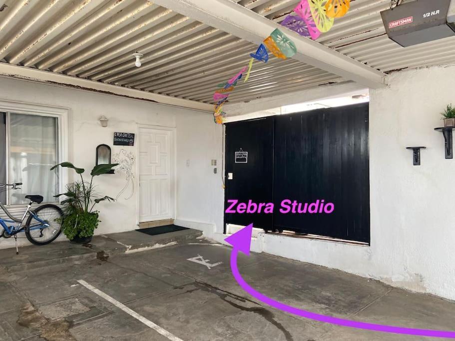 Zebra * Tijuana